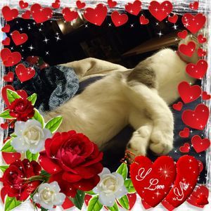 Meet your Posher, Wanda